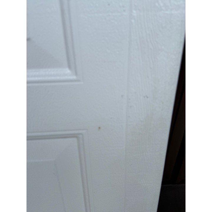 8X8 Haas White un-Insulated Short Raised Panel No Glass